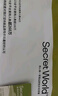 SecretWorld安全褲防走光配裙子無痕打底褲孕婦二合一免穿大碼白色女士內(nèi)褲 曬單實拍圖