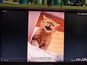 泰坦軍團×逆獄聯(lián)名款 27英寸4K 160Hz QD量子點(diǎn) HDR500 FastIPS 155%sRGB 內置音箱電競顯示器 P2710V MAX 曬單實(shí)拍圖