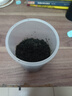 worbush【干濕兩用】家商用粉碎機小型研磨機新款打粉機磨粉機電動(dòng)研磨機小型五谷雜糧磨粉機 1200克容量加粗銅線(xiàn)大電機【加硬六葉刀/米白色】 曬單實(shí)拍圖