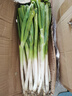 大蔥去皮裁半葉新鮮蔬菜水果大蔥調(diào)料 精選 3斤 現(xiàn)挖現(xiàn)發(fā) 曬單實(shí)拍圖