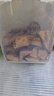 膳之牛&農夫好牛 阿根廷草飼原切大塊牛肉凈重4斤 帶筋膜生鮮牛肉 曬單實(shí)拍圖