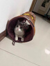 all for paws隧道貓窩 貓玩具 可折疊貓帳篷 貓咪玩具 耐玩耐抓內帶響紙玩具 曬單實(shí)拍圖