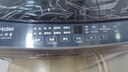 海爾（Haier）波輪洗衣機小型全自動懶人家用【XQB80-Z10D0】家電國家補貼20%以舊換新一級能效宿舍出租房單脫水 曬單實拍圖