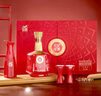 金徽 世紀金徽紅五星 濃香型白酒 50度 500ml*2瓶 禮盒裝 曬單實(shí)拍圖