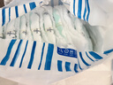 碧芭寶貝盛夏光年拉拉褲XXL28片(15kg以上)學(xué)步褲 夏季超薄 透氣不悶熱 曬單實(shí)拍圖