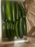 山東壽光水果黃瓜生吃脆新鮮荷蘭青瓜當季無(wú)刺小黃瓜源頭直發(fā) 精品水果黃瓜凈重 4.5斤 曬單實(shí)拍圖