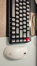 雷蛇（Razer）毒蝰v3pro專(zhuān)業(yè)版 輕量化無(wú)線(xiàn)游戲鼠標 人體工程學(xué)設計宏電競鼠標  lol吃雞CSGO瓦羅蘭特鼠標 白色（輕約55克 自帶8KHZ接收器） 曬單實(shí)拍圖