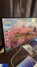 微星（MSI）27英寸 4K240Hz 滿(mǎn)血DP2.1 OLED顯示器 游戲電競電腦顯示屏 TYPE-C 98W MPG 272URX QD-OLED流光 曬單實(shí)拍圖