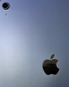 Apple/蘋(píng)果 iPad11英寸 A16芯片2025年款 平板電腦 (256GB WLAN版/學(xué)習辦公娛樂(lè ))藍色 曬單實(shí)拍圖