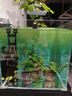 金晶超白魚(yú)缸桌面客廳生態(tài)金魚(yú)缸造景小魚(yú)缸草缸水族箱40方缸 40*40*40cm 厚6mm 曬單實(shí)拍圖