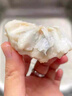 騰米釋迦果6顆新鮮牛奶大目番荔枝佛頭摩尼果當季水果禮盒熱帶水果 嘗鮮裝1顆軟糯香甜 曬單實(shí)拍圖