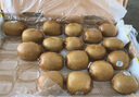 佳沛（zespri）綠奇異果特大果22-25個原箱裝單果約133-176g 水果禮盒獼猴桃 曬單實拍圖