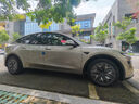 特斯拉（Tesla）Model Y L?全天候后排門(mén)檻保護墊 曬單實(shí)拍圖