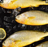 三都港 冷凍三去大黃魚(yú)凈重1300g/共3條 寧德黃花魚(yú) 生鮮 中秋 曬單實(shí)拍圖