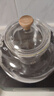 憶壺茶（YIHUTEA）煮茶壺電陶爐煮茶器燒水壺泡茶爐養(yǎng)生壺套裝泡茶壺加厚提梁壺 【透明加厚】雅茗壺1000ml 曬單實拍圖