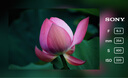 索尼（SONY）E 70-350mm F4.5-6.3 G OSS APS-C畫(huà)幅超遠(yuǎn)攝變焦G鏡頭 SEL70350G 曬單實(shí)拍圖