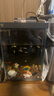 米家智能桌面魚缸小米生態(tài)魚缸小型智能專業(yè)背濾一體缸自循環(huán) 曬單實拍圖