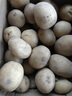 京鮮生恩施小土豆4.5斤單果30-100g 新鮮黃心土豆 馬鈴薯源頭直發(fā) 曬單實(shí)拍圖
