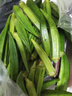 京鮮生 河南新鮮秋葵凈重2斤 單果約8g+ 應季蔬菜 源頭直發(fā) 曬單實(shí)拍圖