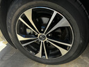 鄧祿普（DUNLOP）輪胎/汽車輪胎 205/60R16 92V ENASAVE EC300+ 原廠配套凌渡 逸動(dòng) 曬單實(shí)拍圖