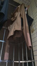 蕉下（beneunder）修身防曬衣女款外套遮陽透氣防曬服冰絲禮物送女友 板栗咖 M 曬單實(shí)拍圖