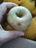 山東蘋(píng)果金帥青蘋(píng)果酸甜脆甜多汁新鮮應季水果孕婦兒童整箱果園 帶箱5斤（65-70mm） 曬單實(shí)拍圖