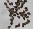 菜友無(wú)籽西瓜種子黑皮紅瓤 特大超甜巨型無(wú)子西瓜 懶漢水果種籽 黑皮紅瓤無(wú)籽西瓜5粒 試種 曬單實(shí)拍圖