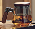 憶壺茶（YIHUTEA）茶杯玻璃綠茶泡茶杯男士家用加厚耐高溫茶水分離帶把手茶道水杯子 【水中見山峰】青純山底杯500ml 曬單實(shí)拍圖