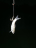 森森（SUNSUN）魚(yú)缸過(guò)濾器壁掛過(guò)濾桶外掛式凈水循環(huán)系統 【魚(yú)便收集】8W過(guò)濾器+濾材+硝化菌+排污管 曬單實(shí)拍圖