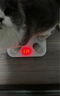 PICOOC有品智能體脂秤體重秤充電家用電子秤測人體數據脂肪秤減肥體脂稱(chēng)Mini-C送女友教師節禮物生日禮品 曬單實(shí)拍圖
