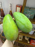 三萌果蔬芒果金煌芒【多地次日達】海南新鮮青皮大芒果水果仙芒禮盒送禮 5斤精選果【單果250g+】?jì)糁?.5斤 曬單實(shí)拍圖