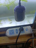 森森（SUNSUN）烏龜加熱棒低水位迷你超短電加熱器自動(dòng)恒溫魚(yú)缸數顯加溫棒過(guò)冬器 50W低水位烏龜加熱棒（離水斷電超溫保護） 曬單實(shí)拍圖