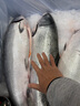 環(huán)球水產冷凍南海金鯧魚2斤/2條 生鮮魚類 火鍋 深海魚 海鮮水產 家庭聚餐 曬單實拍圖