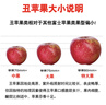 京覓四川大涼山丑蘋(píng)果 凈8斤 單果80mm+ 新鮮水果冰糖心蘋(píng)果 源頭直發(fā) 曬單實(shí)拍圖