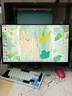 ANTGAMER螞蟻電競 24.5英寸2K300Hz顯示器 氧化物FastIPS 10Bit HDR400 1msGTG DIC技術(shù)護眼低藍光ANT253PQ 曬單實(shí)拍圖