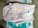 幫寶適（Pampers）清新幫拉拉褲L104 L104片清新幫拉拉褲 曬單實拍圖