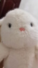 名創(chuàng  )優(yōu)品（MINISO）塔妮兔乖乖坐姿公仔毛絨玩具玩偶抱枕娃娃送女友告白生日禮物女 曬單實(shí)拍圖