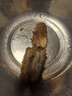 鮮出動(dòng)大連即食海參刺參深海遼刺參海參干貨7-13頭 凈重500g 曬單實(shí)拍圖