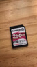 金士頓（Kingston）256GB SD存儲卡 U3 V60 4K 數碼相機內存卡 讀速280MB/s 寫(xiě)速150MB/s 微單/單反相機 曬單實(shí)拍圖