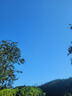 微力達(dá)（Vileda）德國(guó)擦玻璃神器家用手持玻璃刮水器橡膠擦窗器窗戶水刮鏡面清潔器 曬單實(shí)拍圖