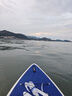 藍科SUP充氣槳板站立式漂流槳板競速沖浪板劃水板漿板船劃槳浮板水上 【通頂防滑墊】巨浪號-藍紅（多人親子游玩推薦） 曬單實(shí)拍圖