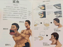 【正版包郵】跟動(dòng)物交換身體1 2 3 川崎悟司 一本獨特以人體為參照的動(dòng)物圖鑒，能讓你開(kāi)心的高能科普書(shū) 跟動(dòng)物交換身體1+2+3 曬單實(shí)拍圖