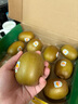 佳沛（zespri）新西蘭  陽光金果10粒巨大果單果約144-175g 中秋水果禮盒 獼猴桃 曬單實拍圖