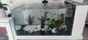 森森（SUNSUN）原生態(tài)溪流缸魚缸造景家用原生缸客廳超白玻璃底濾魚缸包安裝 皓月白-豪華款（黑金筒燈）升級(jí)雙重滴濾盒 0.8米長47.6cm寬40cm缸高+85cm柜高 曬單實(shí)拍圖