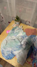 鴻星爾克（ERKE）泳衣女分體三件套海邊游泳潛水度假寬松大碼遮肉顯瘦泳裝溫泉 曬單實(shí)拍圖