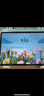 HUAWEI MatePad 11.5''S 靈動(dòng)款 國家補(bǔ)貼15% 華為平板電腦高刷2.8K全面屏學(xué)習(xí)8+256GB WIFI深空灰 曬單實(shí)拍圖