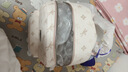 紐芝蘭（NUCELLE）【沈月同款】雙肩包女2025新時(shí)尚背包大學(xué)生書包飛馬女包七夕禮物 曬單實(shí)拍圖