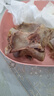 澇河橋 供港寧夏灘羊 國(guó)產(chǎn)羊蝎子2斤  羊脊骨 火鍋煲湯食材 曬單實(shí)拍圖