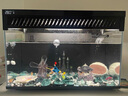 當(dāng)貝智能生態(tài)魚缸1Ultra 一體缸自循環(huán)雙過(guò)濾AI托養(yǎng)懶人家用桌面魚缸 曬單實(shí)拍圖