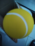 握力球康復訓練手指康復球練手力握力偏癱中風(fēng)腦梗腦血栓訓練器材 黃色握力球【25磅適中力度】 曬單實(shí)拍圖